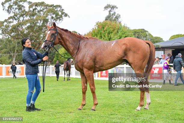 Festivus after winning the Grampians Racing BM64 Handicap at Stawell Racecourse on April 09, 2023 in Stawell, Australia.