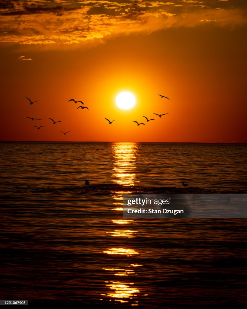 Long Island's North Fork Sunset