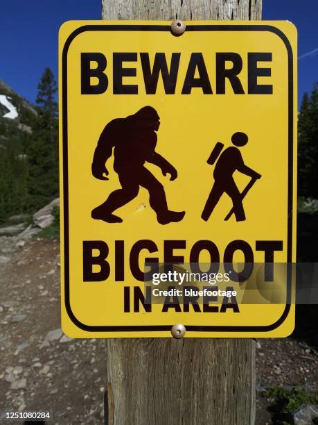 road sign warning of bigfoot - bigfoot photos et images de collection