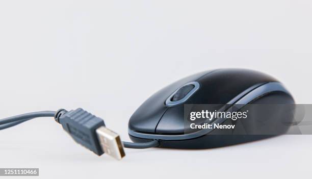 Small Computer Mouse Photos and Premium High Res Pictures - Getty Images