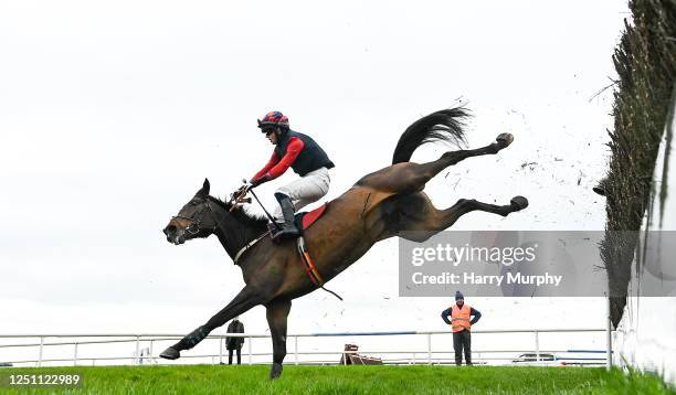 Meath , Ireland - 9 April 2023; Whiskeywealth, with John Shinnick up, falls at the last after leading the BoyleSports Novice Handicap Steeplechase on...