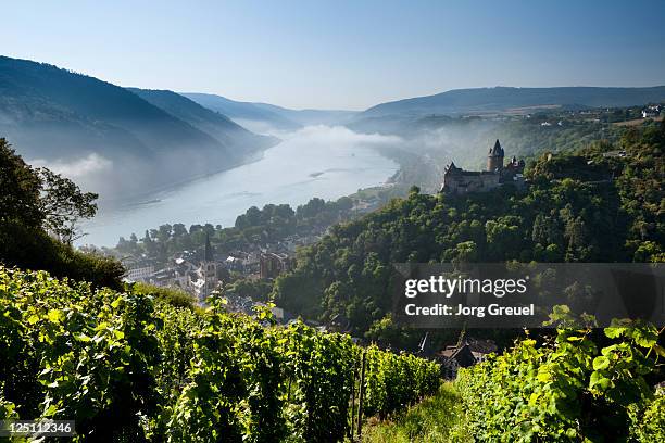 bacharach and the rhine gorge - bacharach stock pictures, royalty-free photos & images