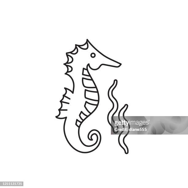stockillustraties, clipart, cartoons en iconen met seahorse summer icoon thin line style - sea horse
