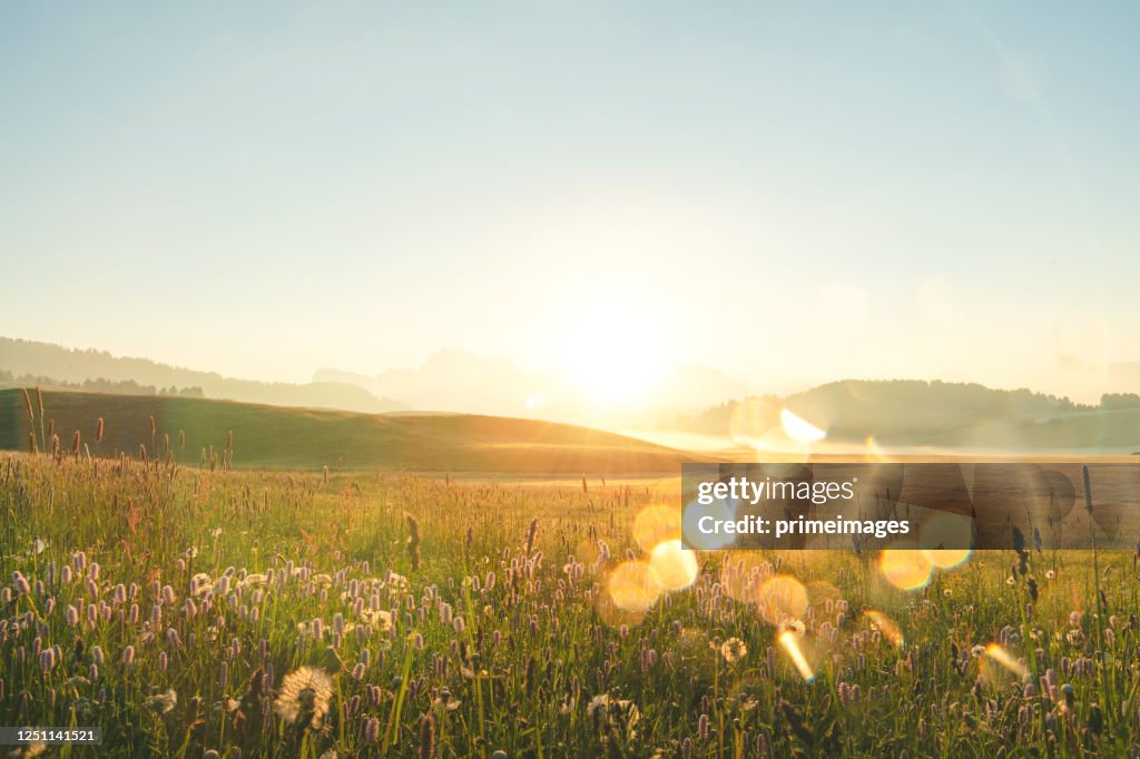 Naturblick Sonnenuntergang Landschaftlich über Land schöne Landstraße in der berühmten Toskana Landschaft mit geschwungener Straße und Zypresse Italien