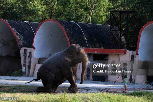 An elephant getting a shower on a harsh sunny afternoon at Delhi Zoo, on April 9, 2023 in New Delhi, India.