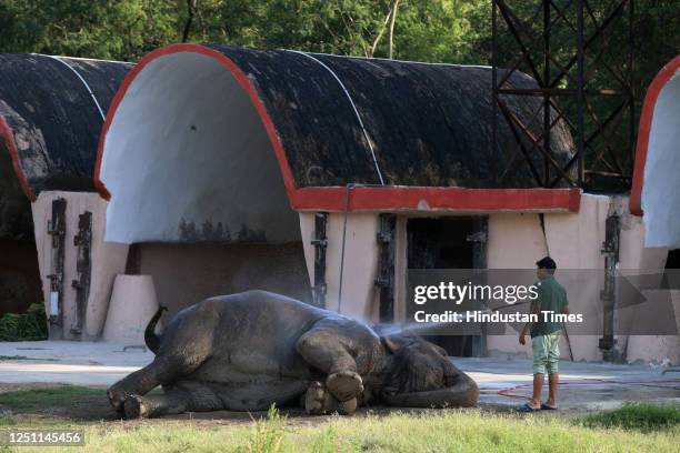 An elephant getting a shower on a harsh sunny afternoon at Delhi Zoo, on April 9, 2023 in New Delhi, India.