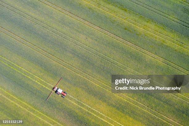 taking care of the crop - fertilizer stock pictures, royalty-free photos & images