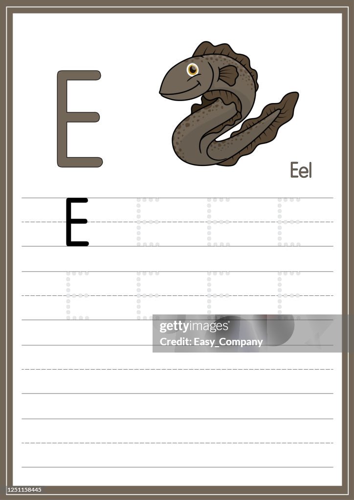 Vector illustration of Eel isolated on a white background. With the capital letter E for use as a teaching and learning media for children to recognize English letters Or for children to learn to write letters Used to learn at home and school.
