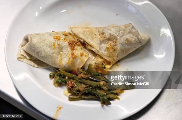 badly made burrito with chili fried green bell pepper side on round white plate on a stainless steel kitchen worktop - ugliness stock pictures, royalty-free photos & images