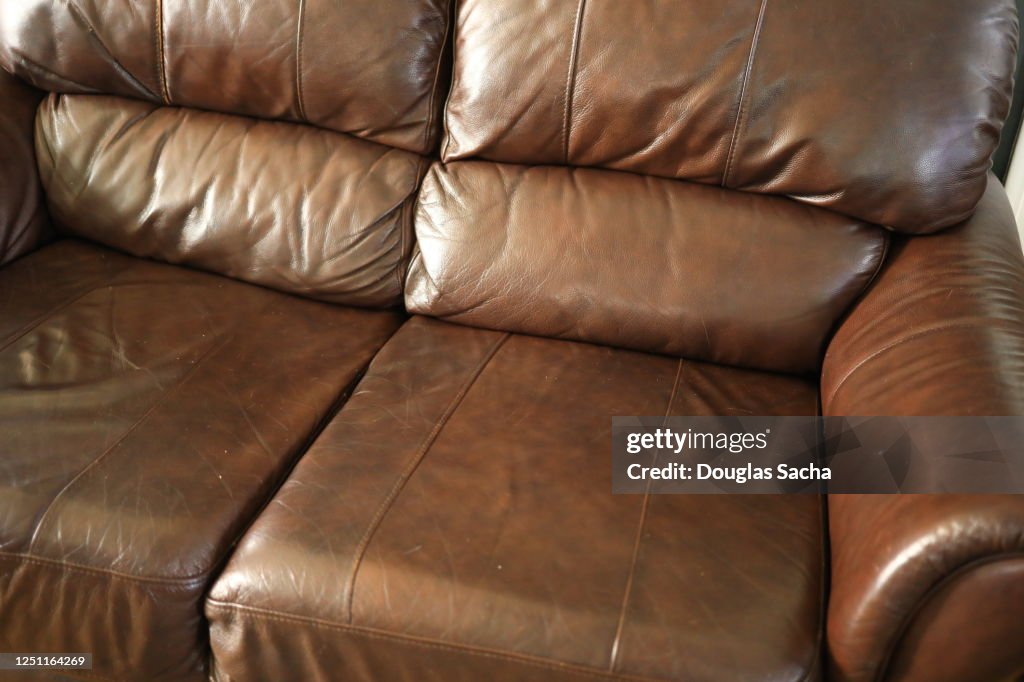 Leather Casual Sofa