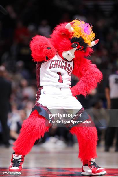 Chicago Bulls mascot Benny the bull dances after making a half court shot during a time out during a NBA game between the Detroit Pistons and the...