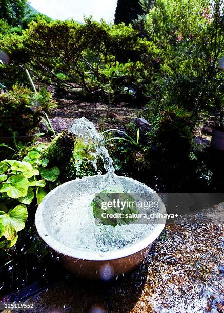 summer greeting - washing tub stock pictures, royalty-free photos & images