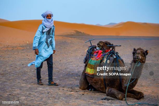 Berber man stands next to a camel in Sahara Desert. Sahara Desert has increasingly become a tourist spot for people across the globe.