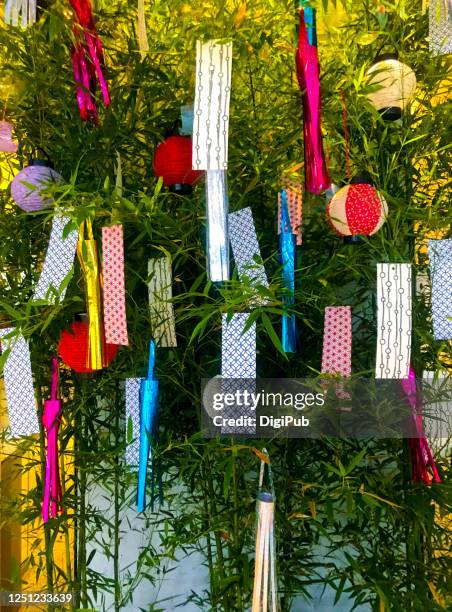 tanabata decorations, star festival - folha de bambu - fotografias e filmes do acervo