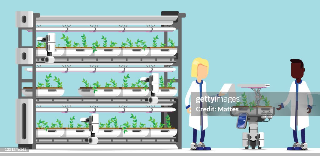 Wissenschaftler arbeiten an fortschrittlichen Technologien und Robotern für Hydroponik und nachhaltige Landwirtschaft