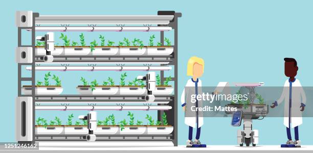 scientists working on advanced technologies and robots for hydroponics and sustainable agriculture - environmental conservation diversity stock illustrations