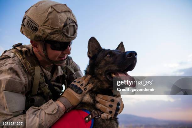 soldado del ejército que ama a su perro entrenado - perro adiestrado fotografías e imágenes de stock