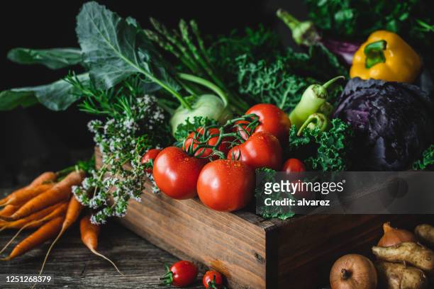 wooden box full of homegrown produce - vegetal imagens e fotografias de stock