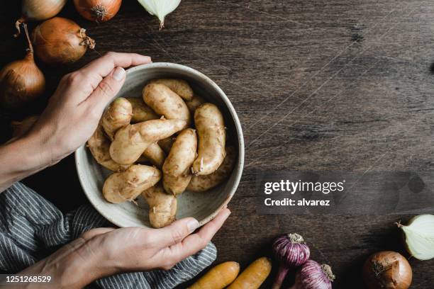 woman holding a bowl full of fresh potatoes - red onion top view stock pictures, royalty-free photos & images