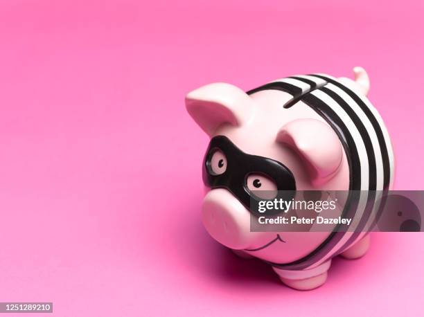 bandit style piggy bank - tax fraud stock pictures, royalty-free photos & images