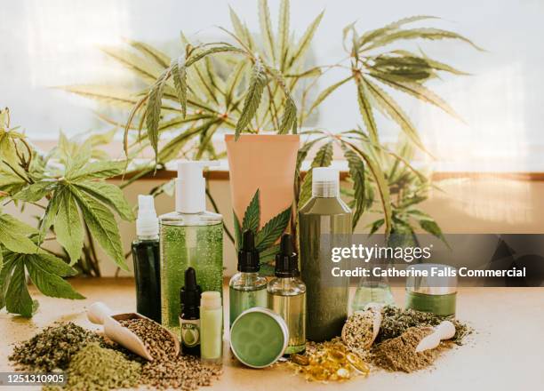 still-life selection of cbd products, conveying vast possibilities of cannabis as an ingredient in an alternative therapies, lifestyle and treatments. - shampoo ストックフォトと画像