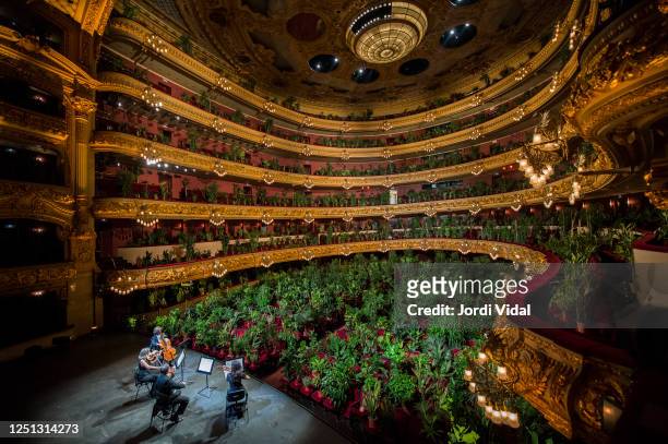 Musicians from UceLi Quartet, a string quartet, perform 'Crisantemi' by Puccini for an audience made up of 2,292 plants on the first day after the...