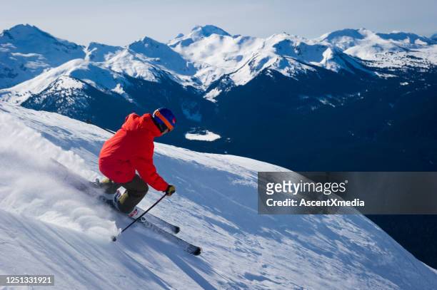 ski par une journée ensoleillée - sport d'hiver photos et images de collection