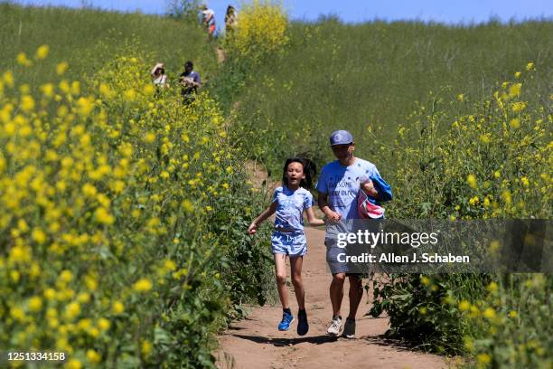 Chino Hills, CA After multiple storms drenched Southern California, hikers viewing a patch of blooming California poppies are viewed through a...