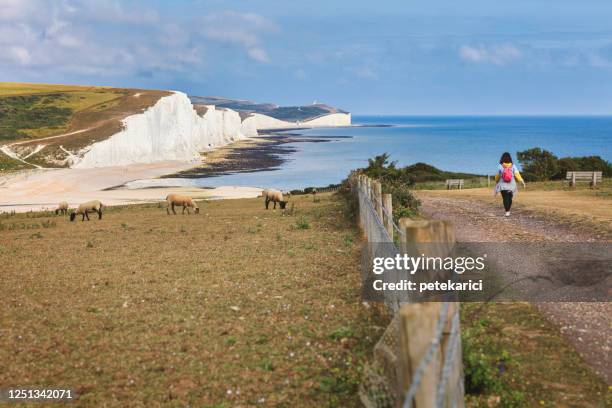 七姐妹郊公園高大的白色粉筆懸崖,東蘇塞克斯,英國 - seven sisters cliffs 個照片及圖片檔