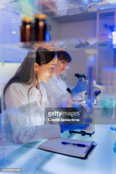 equipo de laboratorio femenino trabajando con muestras de patógenos. uso del microscopio - investigacion fotografías e imágenes de stock
