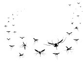 Flying mosquitoes silhouettes group. Flying insects swarm spreading diseases dangerous infection and viruses, black wave vector gnats