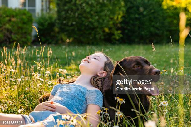 young girl leaning on her pet dog - kid and dog stock-fotos und bilder