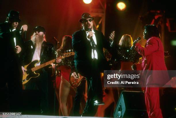 James Brown and Dusty Hill join Dan Akroyd and Jim Belushi of The Blues Brothers to perform at halftime of the New England Patriots vs Green Bay...