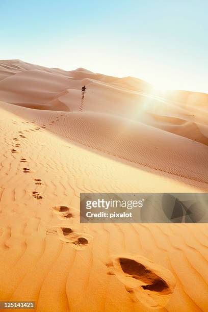 desert hiker rub' al khali of abu dhabi, uae - desert bildbanksfoton och bilder