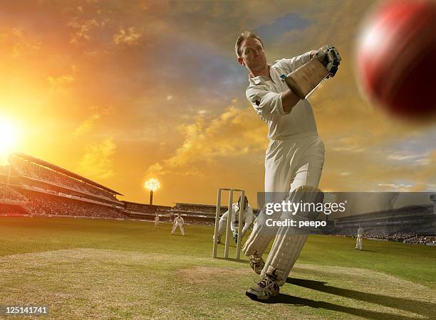 cricket batsman in action - cricketpinne bildbanksfoton och bilder