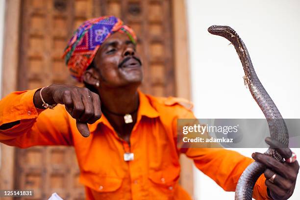 indian encantador de serpentes - charmoso - fotografias e filmes do acervo