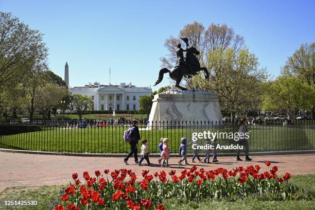 View of tulips at Lafayette Square as the White House is seen behind in Washington, DC, United States on April 10, 2023.