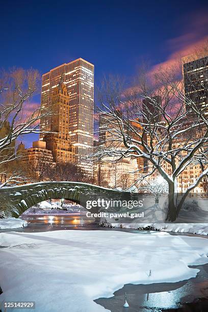 gapstow bridge, new york city - central park winter stock-fotos und bilder