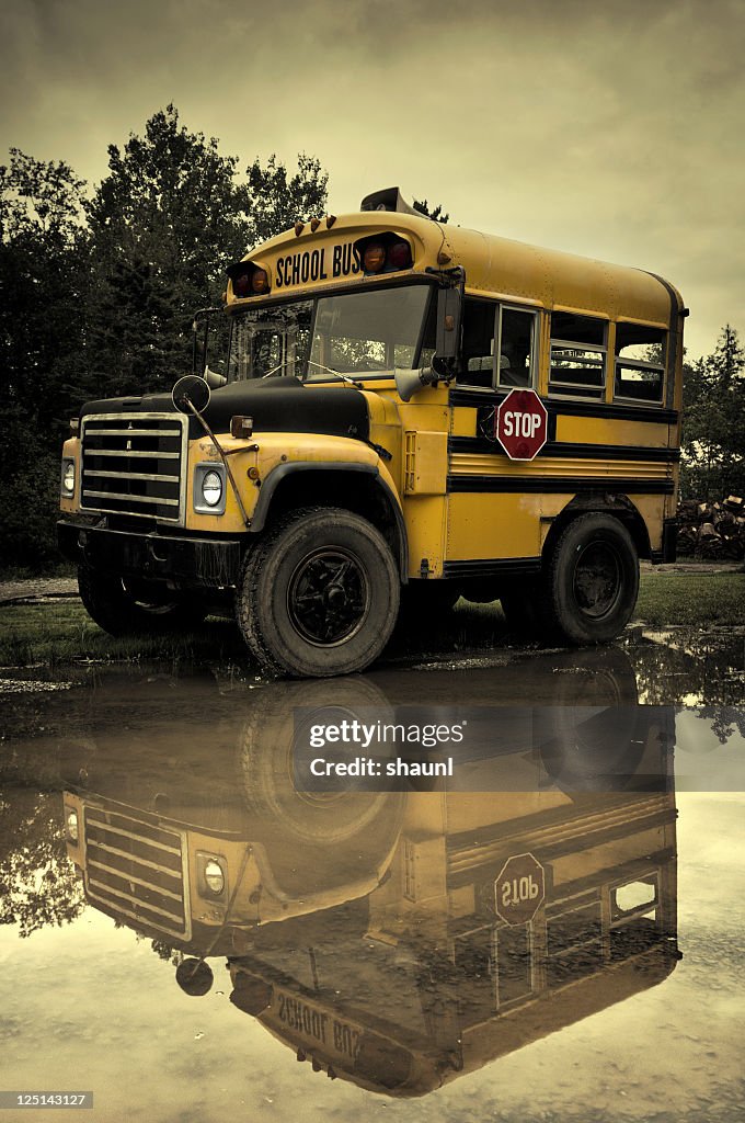The Short Bus