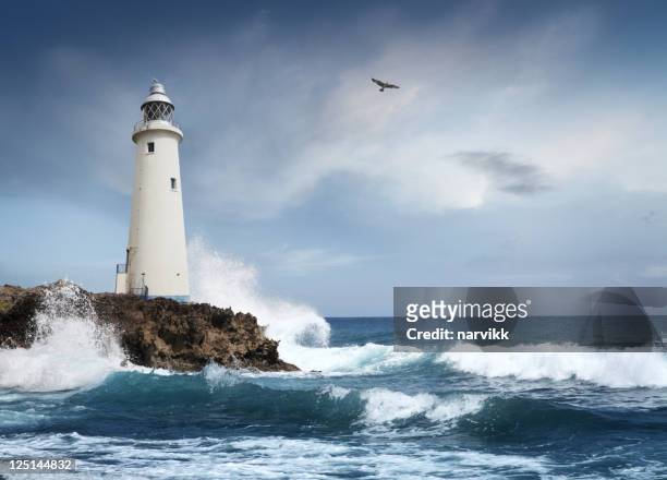 white lighthouse on the cliff - vuurtoren stockfoto's en -beelden