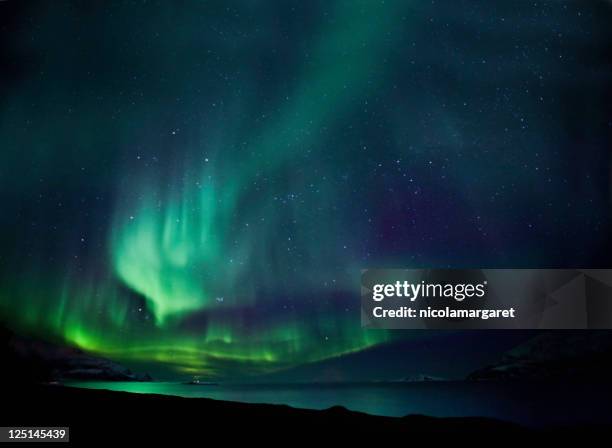 las luces del norte aurora - aurora borealis fotografías e imágenes de stock