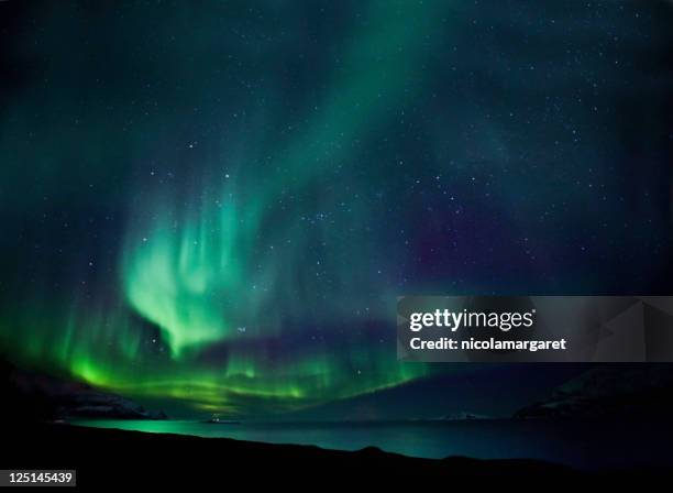 the northern lights aurora borealis in blue and green - aurora borealis 個照片及圖片檔
