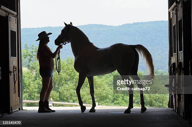 woman and horse silhouette in open barn door, arabian stallion - horse barn stock pictures, royalty-free photos & images