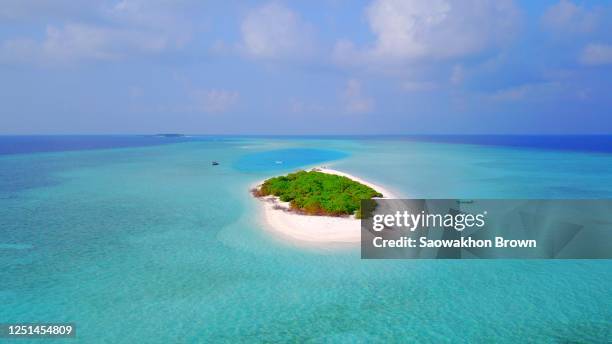 beach landscape in beautiful sunlight. exotic nature as tropical island scenery with plants and peaceful blue sea. - einsame insel stock-fotos und bilder