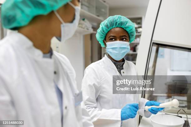 scientists discussing while making medicine at laboratory - african mortar and pestle stock pictures, royalty-free photos & images