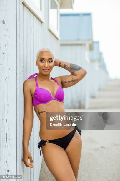3 162点のビキニ美女モデル海岸のストックフォト Getty Images