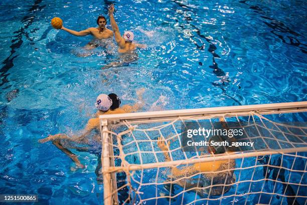 young men playing a water polo game - water polo stock pictures, royalty-free photos & images