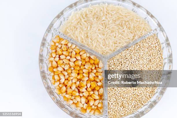 Roberto Machado Noa Rice Photos and Premium High Res Pictures - Getty ...