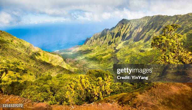 waimea canyon national state park of kauai island, hawaii - waimea canyon state park stock pictures, royalty-free photos & images