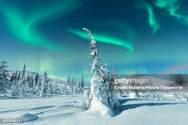 northern lights on the snowy landscape, lapland - laponie finlandaise photos et images de collection